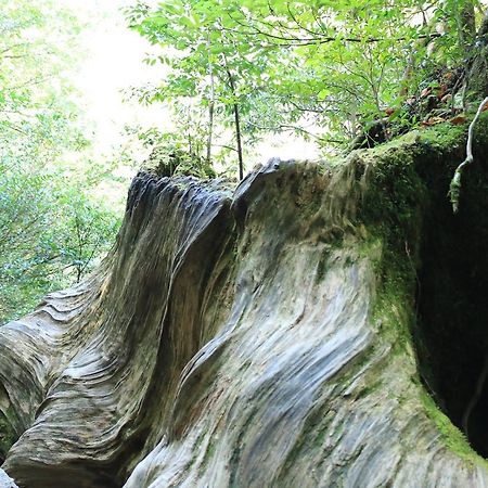 Miyanouraso Hotell Yakushima  Exteriör bild