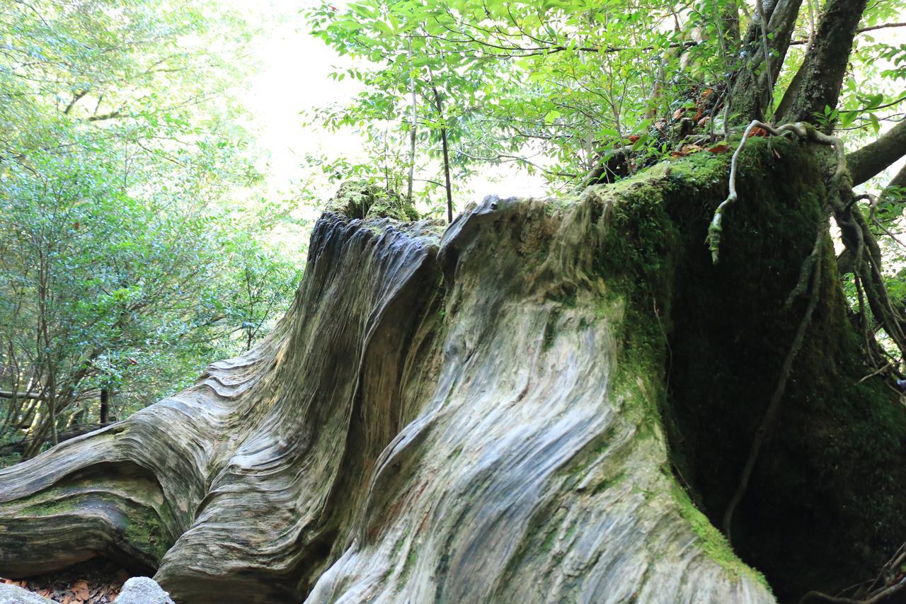 Miyanouraso Hotell Yakushima  Exteriör bild